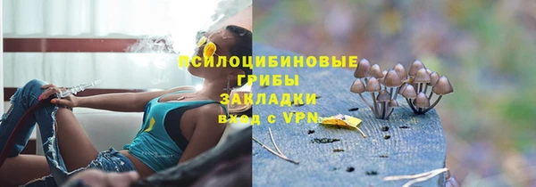 a pvp Аркадак