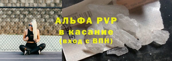 стафф Арсеньев