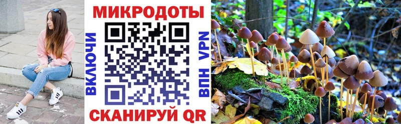 как найти наркотики  Полевской  это состав  Псилоцибиновые грибы Cubensis 